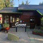 La Municipalidad de Villa La Angostura lanza el Concurso de Precios N° 4, para el desarrollo del nuevo sitio web oficial de Turismo.