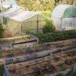 Villa La Angostura fortalece el<br>desarrollo local con más producción, emprendedores y espacios de<br>comercialización.<br>