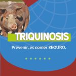 Prevenir la Triquinosis es Comer SEGURO