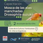 Capacitación sobre la mosca de alas manchadas (Drosophila suzukii)