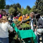 La Secretaría de Atención al Vecino junto a el Vivero Municipal agasajó a las mamás en su día.
