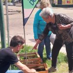 Entrega de plantines en el Barrio Mallín.