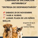 Vacunación antirrábica gratuita – Barrio El Mallín.