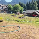 CUIDEMOS LO QUE ES DE TODOS