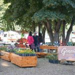 CONVOCATORIA ABIERTA A VIVERISTAS PARA LA 13° FIESTA NACIONAL DE LOS JARDINES 2026 EN VILLA LA ANGOSTURA