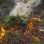 COMUNICADO OFICIAL – EMERGENCIA IGNEA – VILLA LA ANGOSTURA.