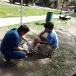 Jornada de Atención Veterinaria Municipal.