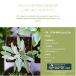 Mesa de intercambio de semillas y plantines