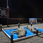 Vigilia en homenaje a los Caídos en la Guerra de Malvinas.