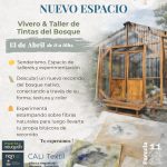 Inicia un nuevo Taller “Vivero & Taller de Tintas del Bosques”.