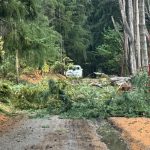 CORTE DE CALLE Y SERVICIO ELÉCTRICO EN MANZANO.