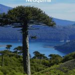 19 de Abril – Día de la Identidad Neuquina