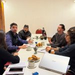 Mesa de Articulación Institucional de la Región de los Lagos del Sur.