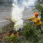 Uso del fuego: situación actual en Villa La Angostura<br><br>