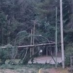 Informe actual sobre la alerta meteorológica.