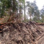 Secretaria de Planeamiento, Ambiente y Obra Pública – Informa.