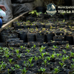 Actividades por el Mes del Arbol en nuestra localidad!