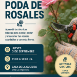 Se realizara en casa de la Cultura la capacitacion “Poda de rosas” a cargo del INTA