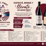 Día del Pinot: gastronomía, beneficios y experiencias en Villa La Angostura.