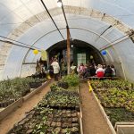Gran taller ambiental sobre compostaje y separación de residuos en Villa La Angostura.