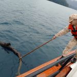 Prefectura advierte sobre la presencia obstáculos flotantesen el Lago Nahuel Huapi.