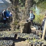 En el marco del Vivero en las Escuelas, alumnos del CPEM N° 68 realizaron un recorrido por el Vivero Municipal
